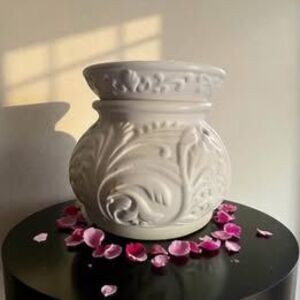 Rare and Beautiful Wax & Oil  Scent Warmer